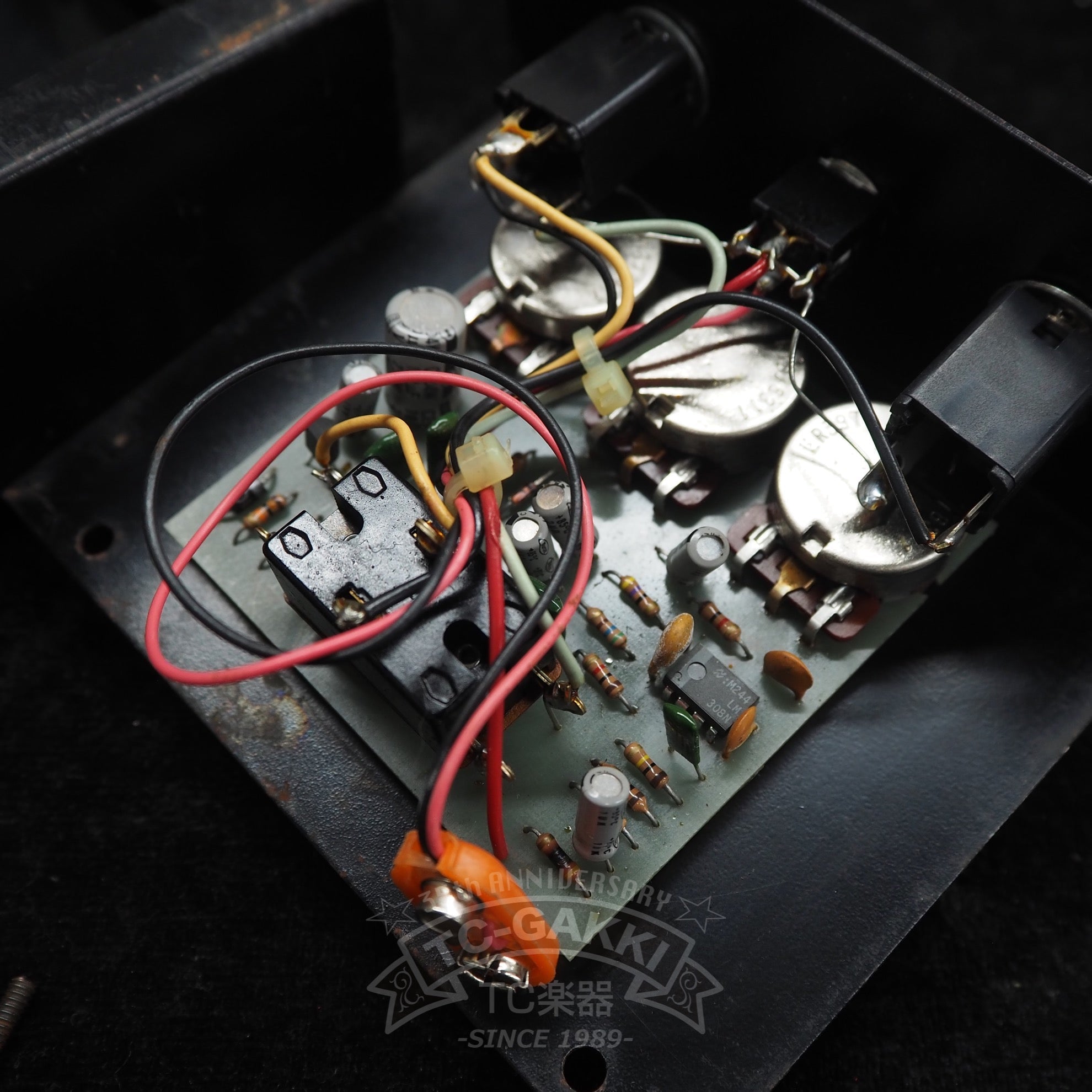 The Rat w/FILTER “Large Case”