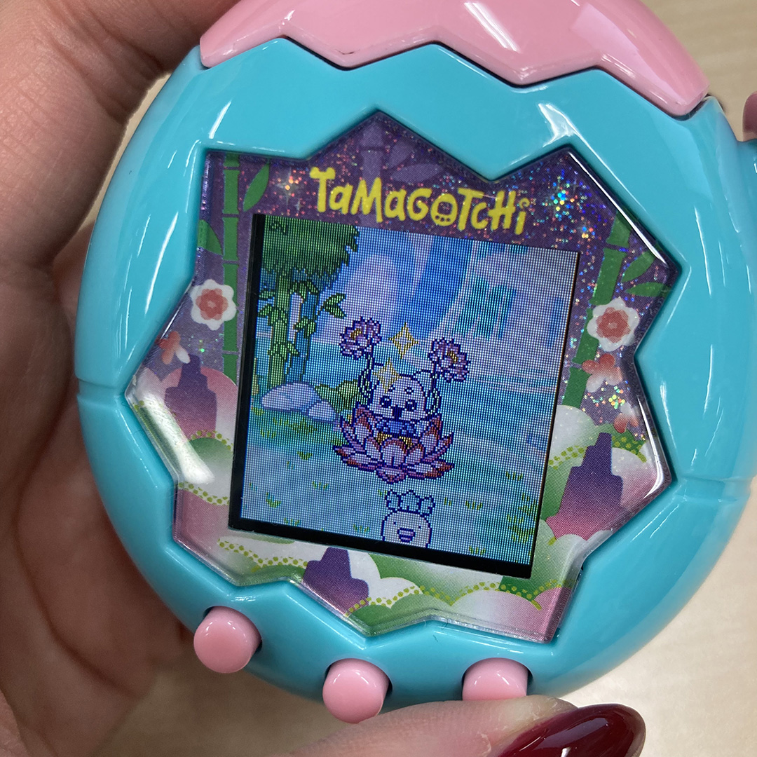 たまラボ研究記録】#08 Jadeのツーしん情報をお届け！ | NEWS