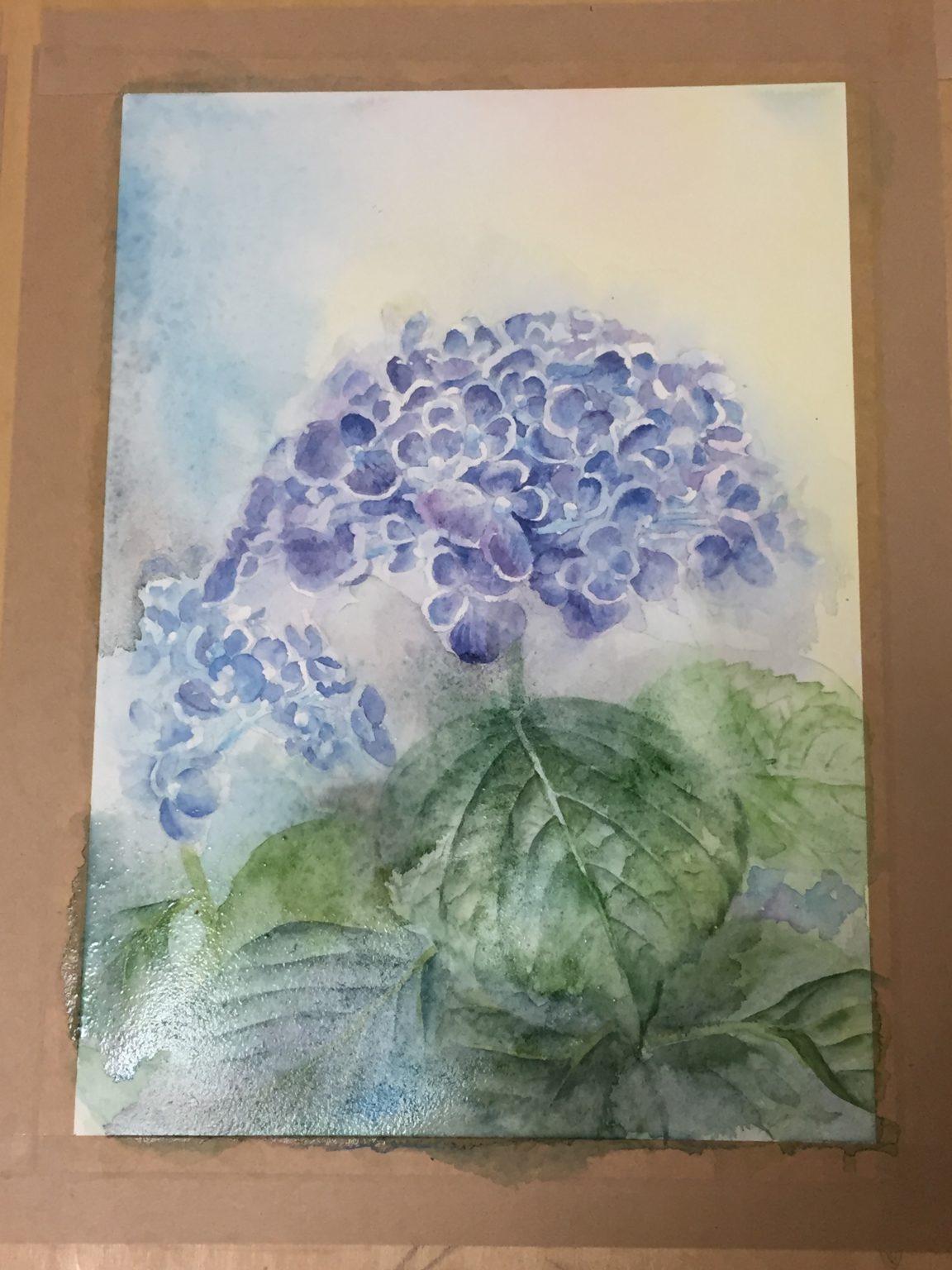 透明水彩「赤・青・黄」3原色で描く紫陽花 制作過程です。 | pomme_art
