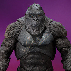 S.H.MonsterArts GODZILLA FROM GODZILLA x KONG: THE NEW EMPIRE