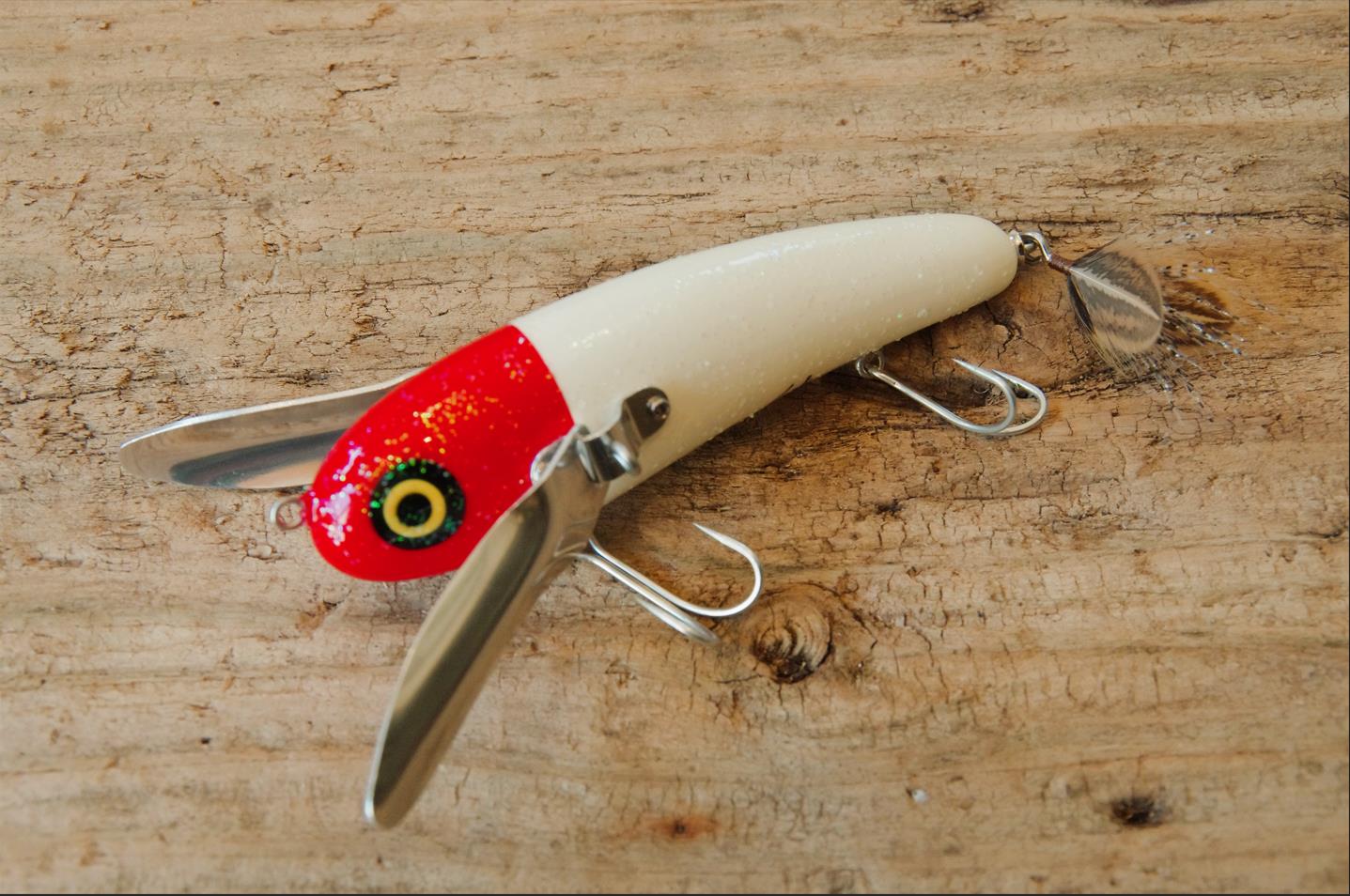 スローリーHP完成！！: 新作も旧作もタマタマオンライン