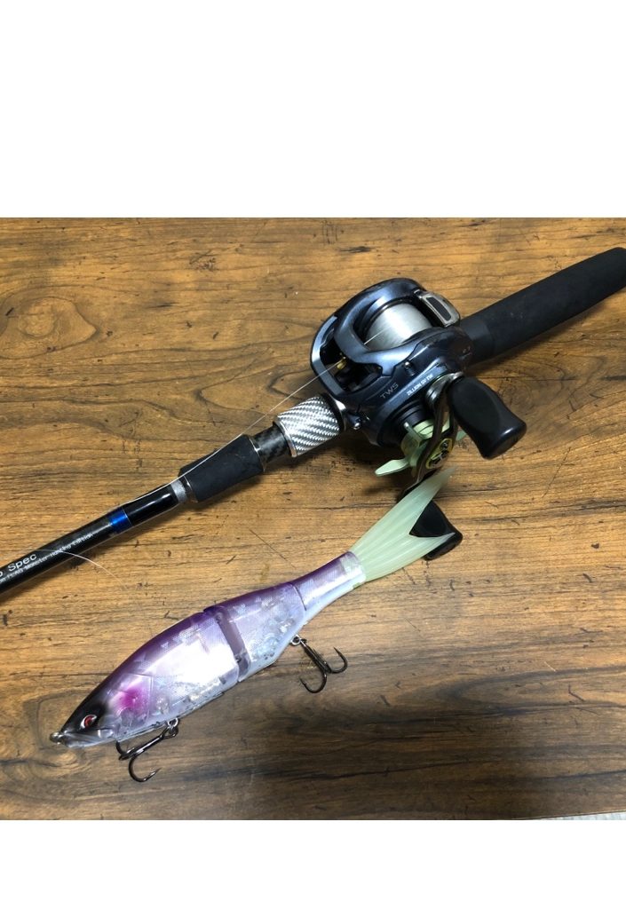 厳寒期の琵琶湖タックル考 - 琵琶湖のバス釣りガイド ガイドサービスタナカ