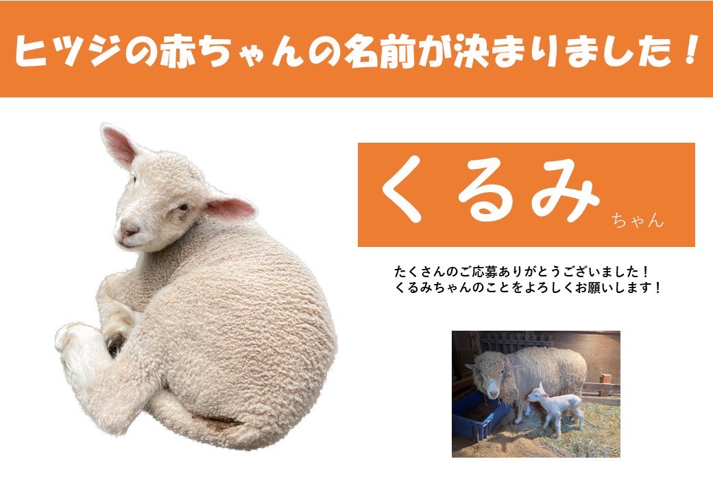 ヒツジの赤ちゃんの名前が決まりました！ - 丹後王国「食のみやこ