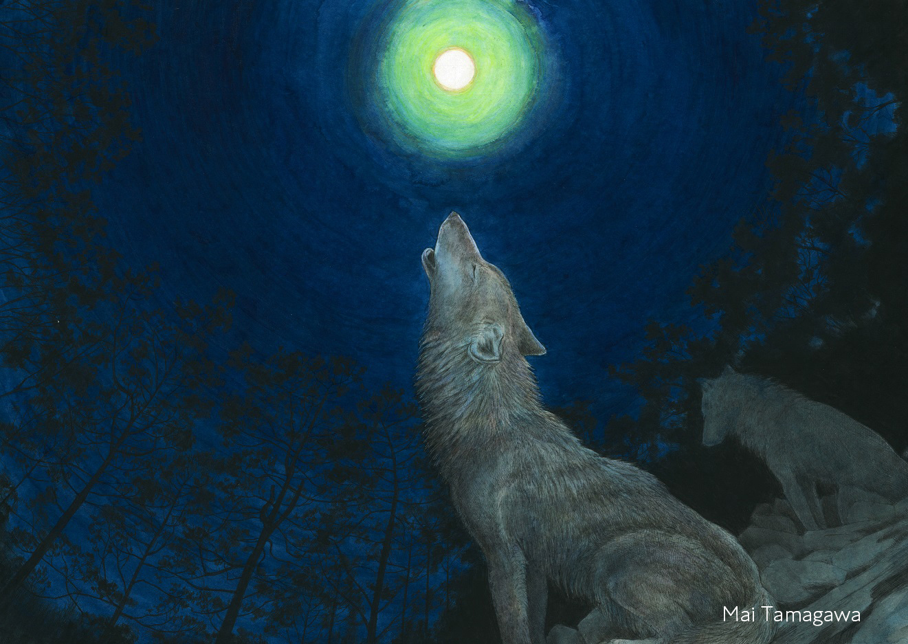 声優・雨宮天さんによる絵本朗読企画 | たばやま観光Navi