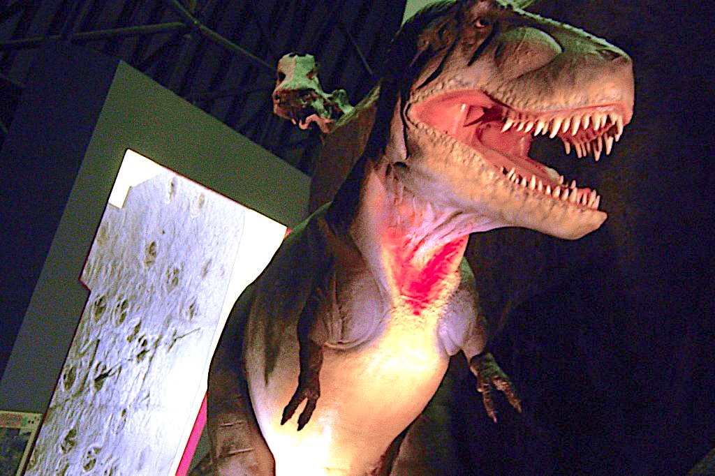 白山恐竜パーク白峰 | ニッポン旅マガジン