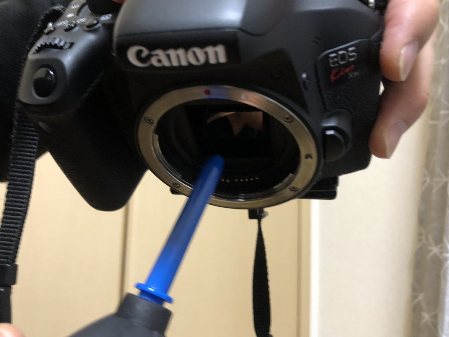 カメラ内部の掃除をがんばりすぎて失敗した体験談 | Tabi-Cam