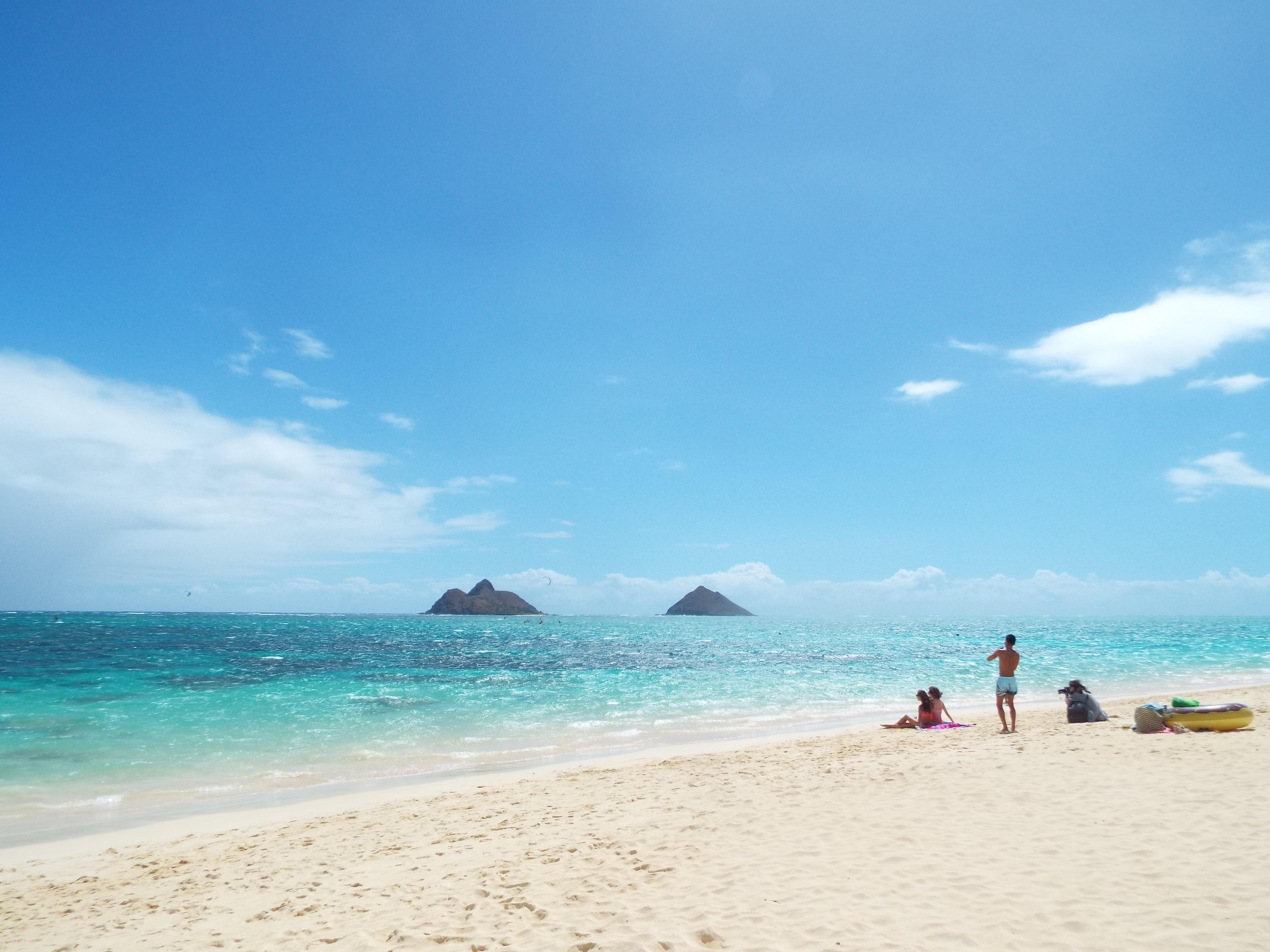 sea♡ハワイ♡ビーチ♡海の絵♡インテリア♡アート♡ロンハーマン