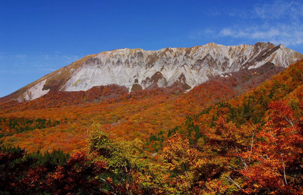 全国紅葉の絶景】名峰「大山」が七色に染まる、鳥取県の紅葉人気
