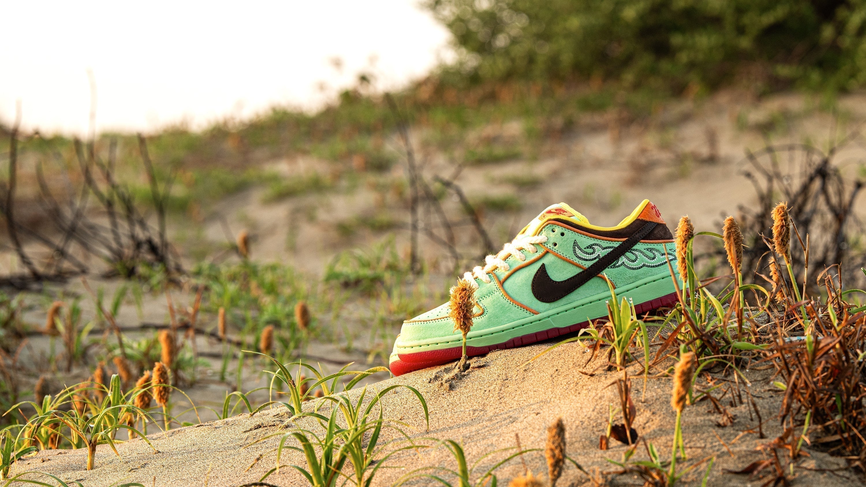 rodeo_dunk_banner.jpg?v=