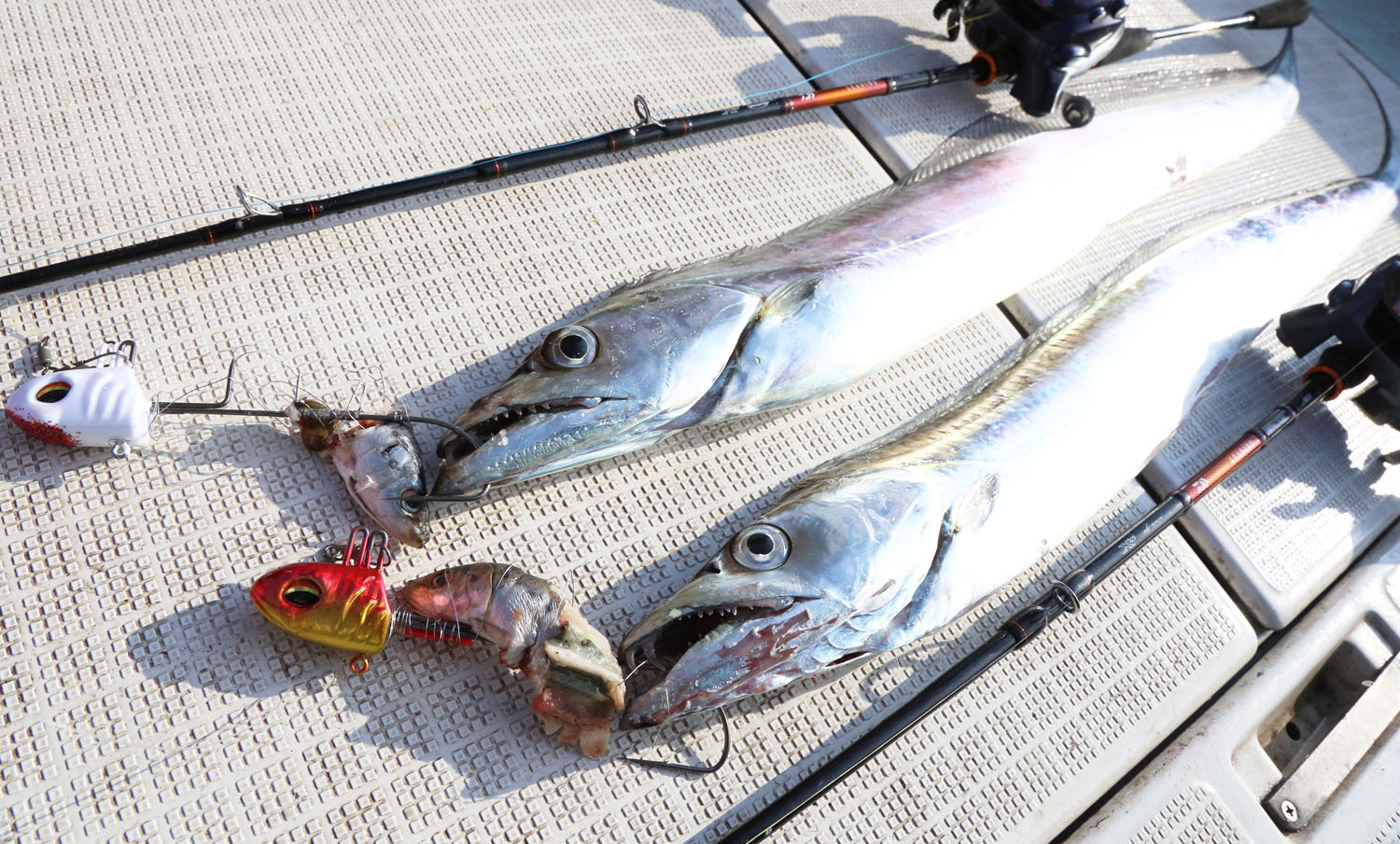 ダイワの名竿『NEWリーディング』がイイ！ – タチウオマニア