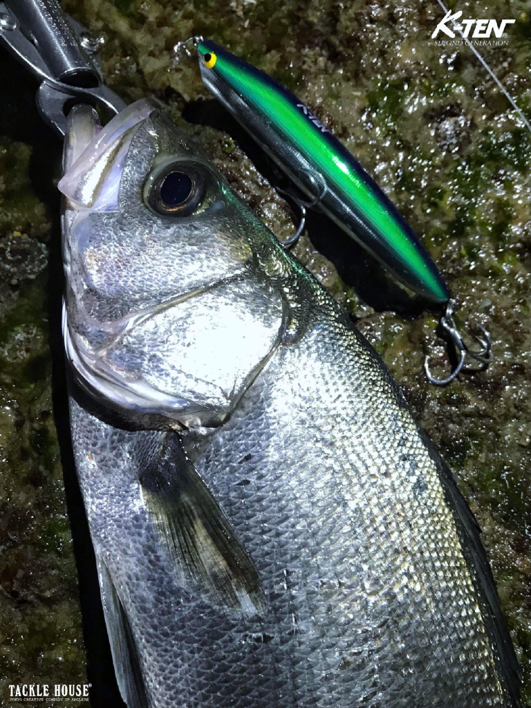 シーバスルアー まとめ売り ima タックルハウス 等 シーバスルアー