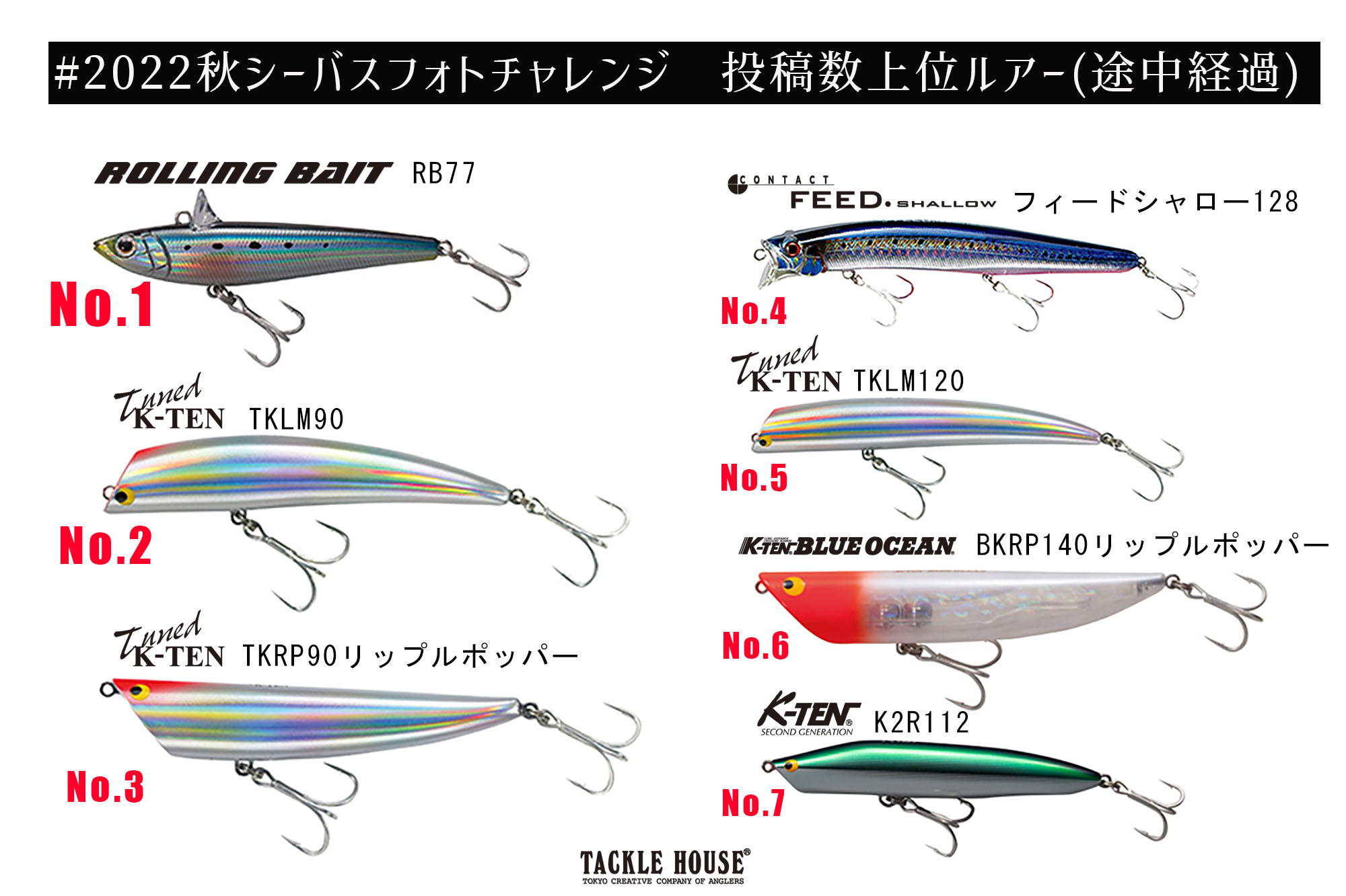 2022秋シーバスフォトチャレンジ経過報告。
