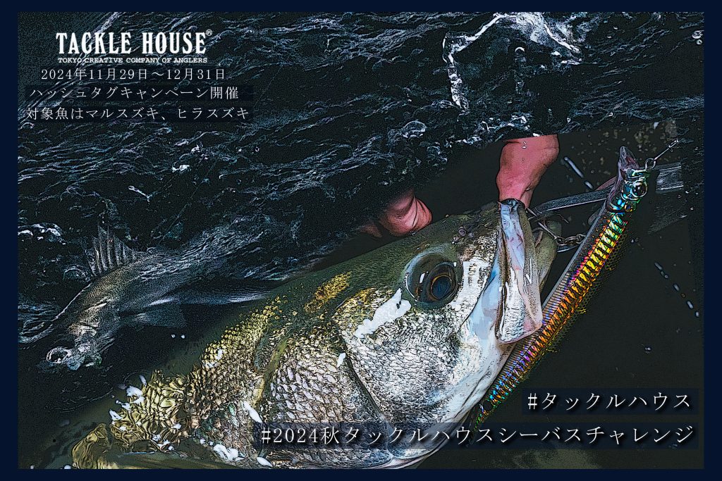 7e8ba3bc8893ef1f9de65ecd409a79