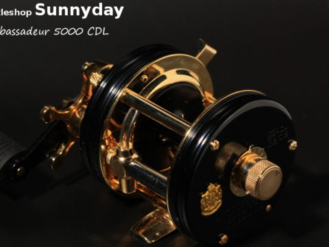 CDL – Tackle Shop Sunnyday