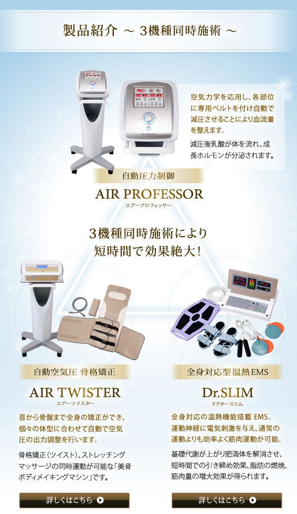 AIR PROFESSOR TRIPLE SYSTEM エアープロフェッサートリプルシステム