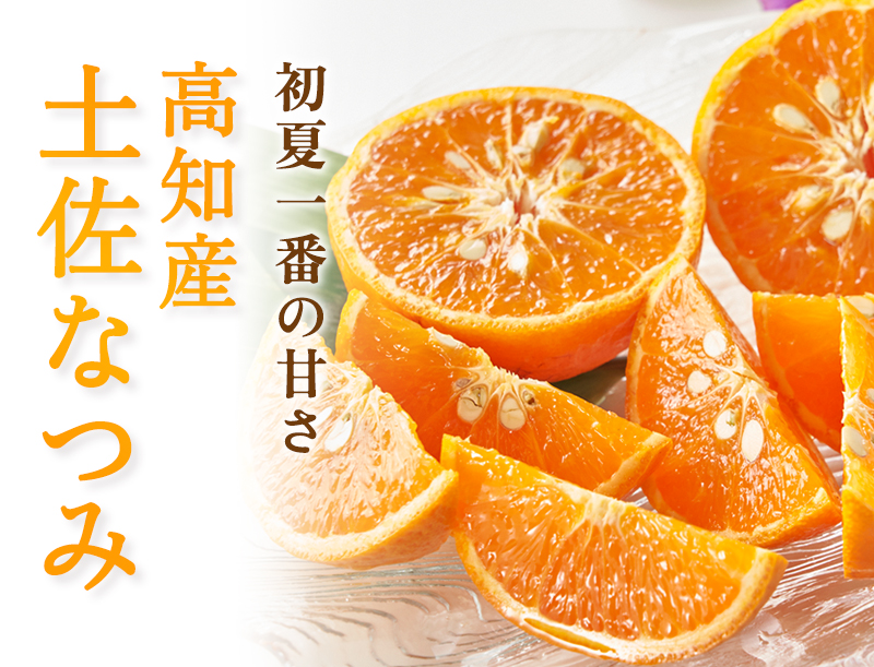 なつみの通販 高知県 やさいとくだものL+武田青果〜お客様に衝撃と感動を〜