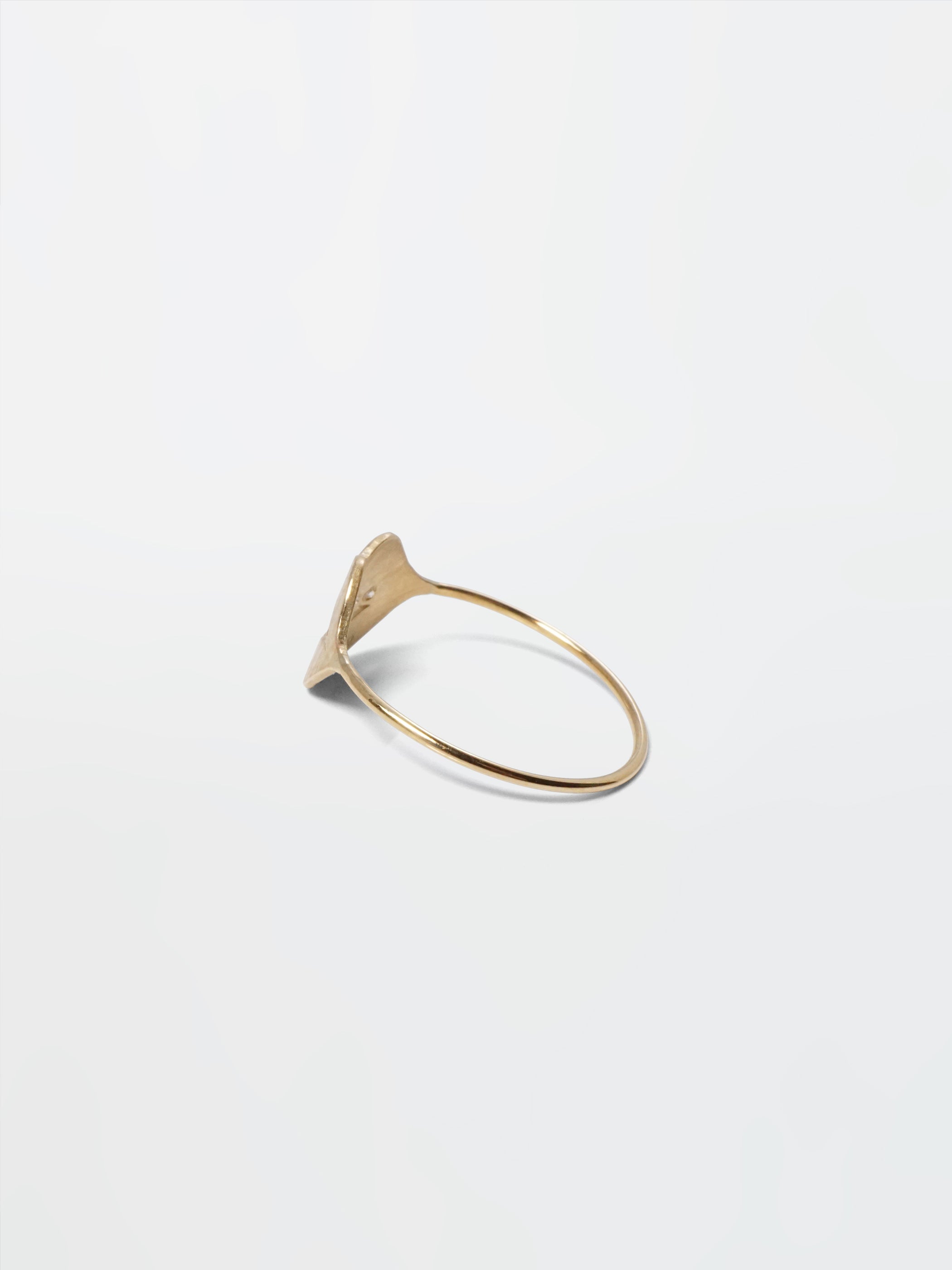 TALKATIVE MOUTH / Pinky Ring / Diamonds