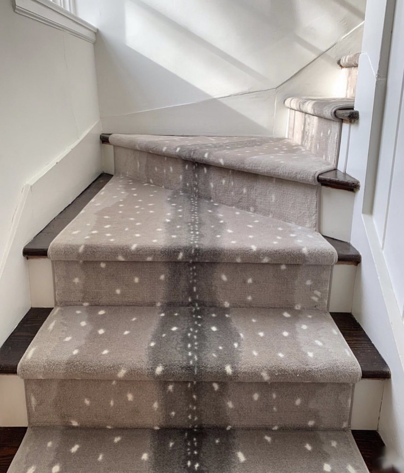 Exotic Escape I Stair Runner / Broadloom – Tapis Rugs & Carpet