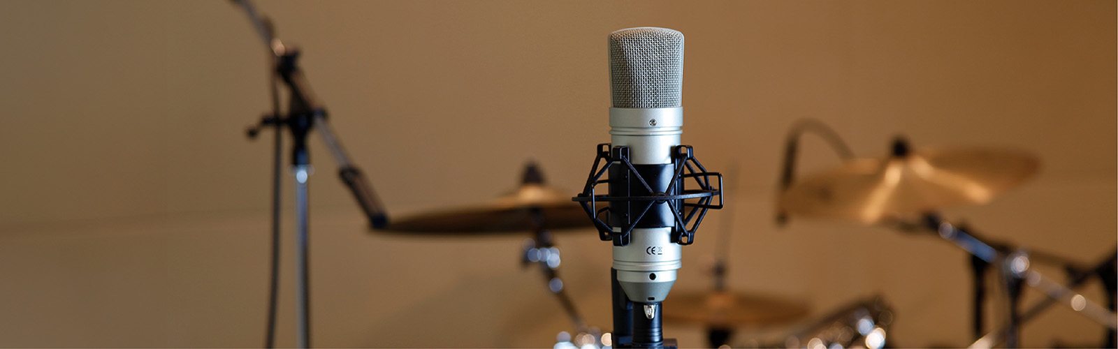 TM-80 | Studio Condensor Microphone | TASCAM - United States