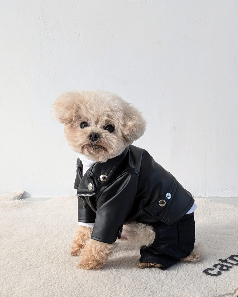 83ライダースジャケット – Taylor83