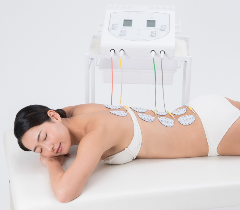 セラピム ボディE4 | 株式会社テクノリンク