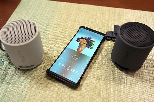 レビュー】コンパクトさはそのままに音質パワーアップ！『SRS-XB100