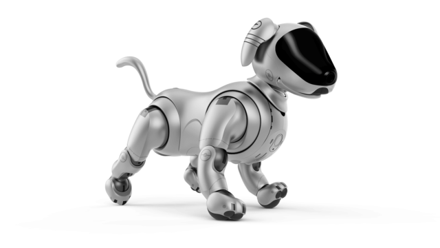 aibo