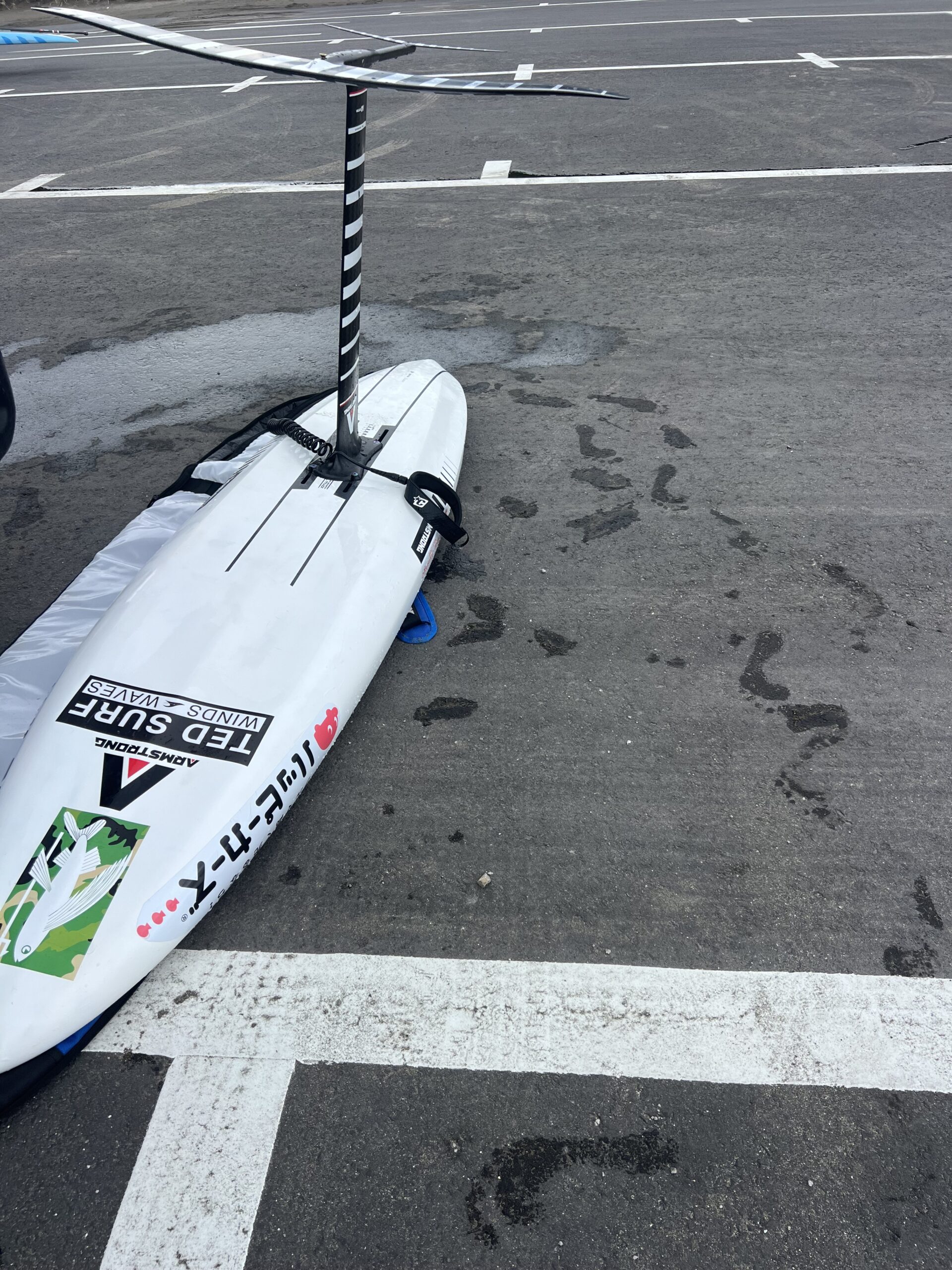 SUP FOILを再考する / Kalama Gator 入荷！ | TED OCEAN SPORTS BLOG