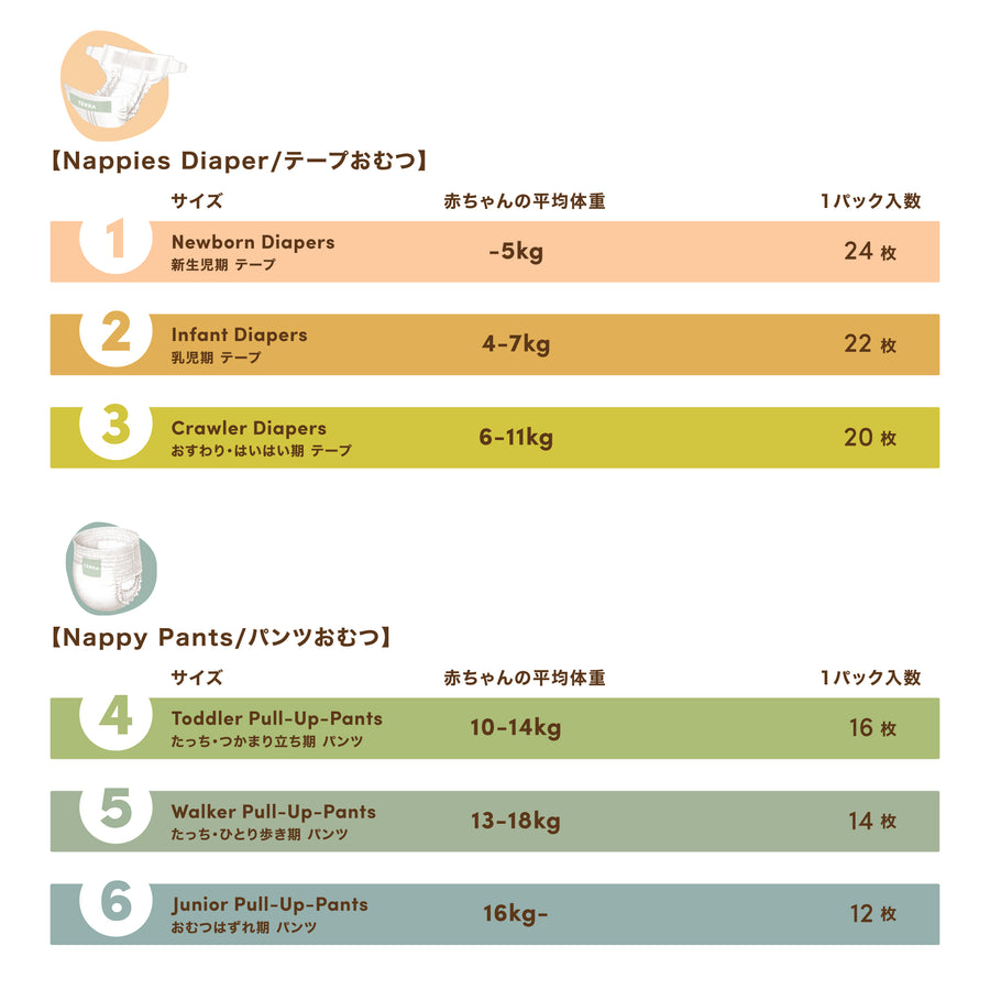 パンツ】TERRA おむつ サイズ6｜16kg以上・おむつはずれ期に最適 夜用