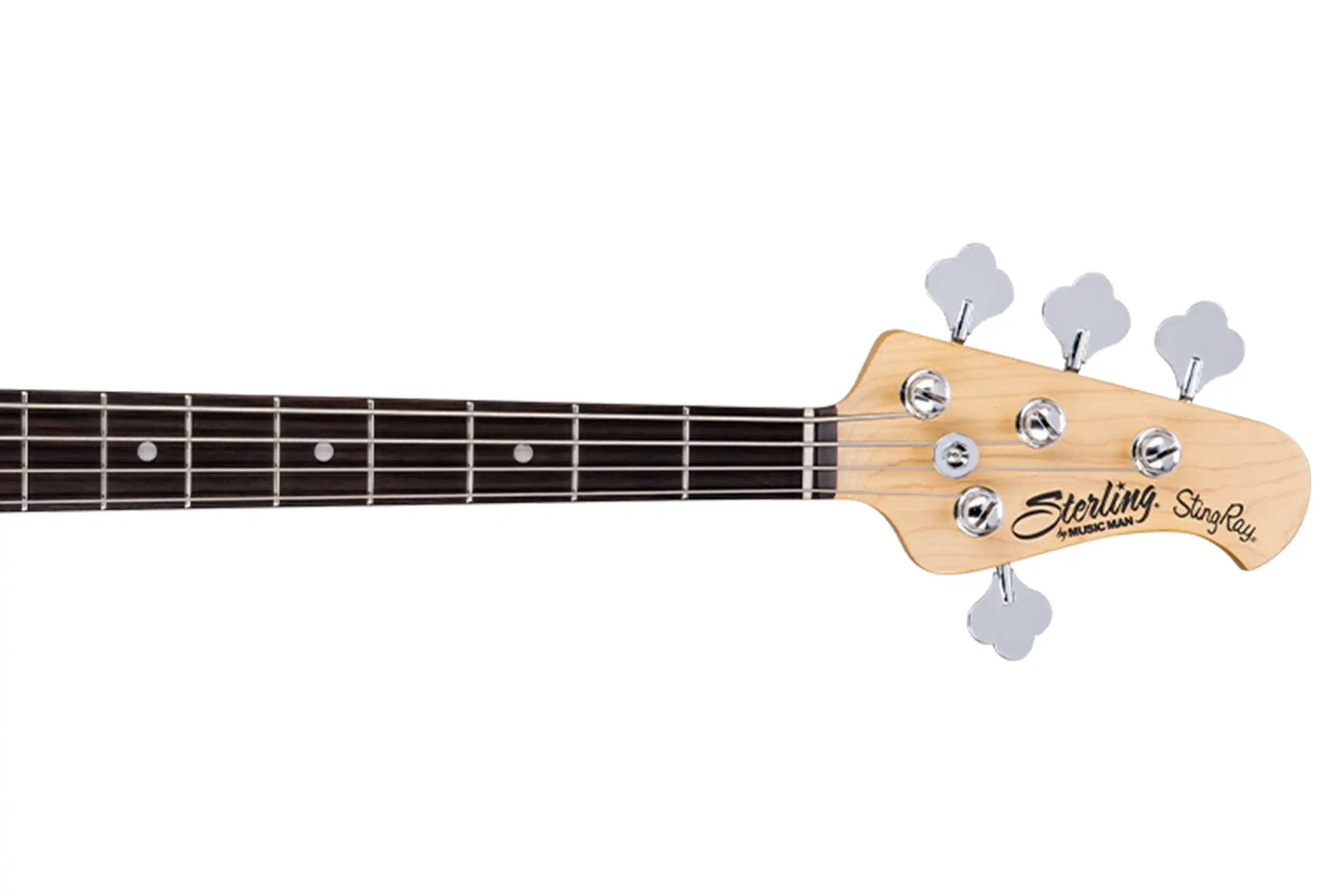 Sterling StingRay Ray24CA Bass - Terry Carter Music Store