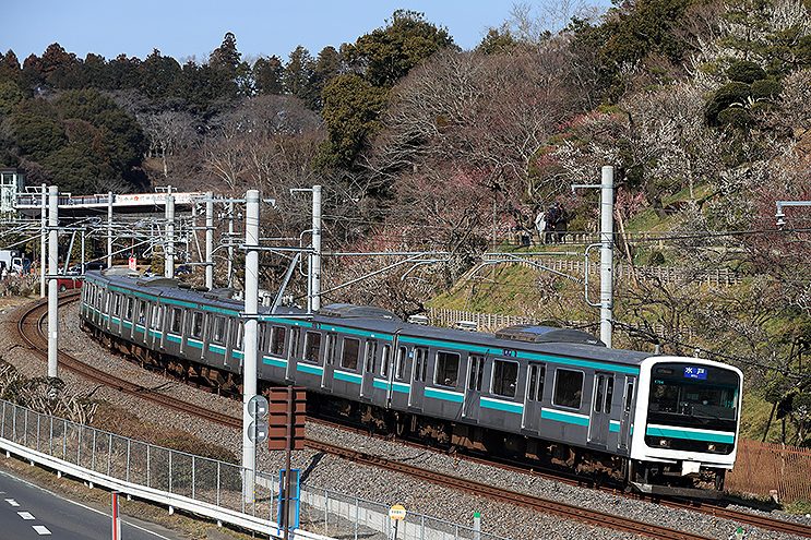 209系顔の交直両用E501系、水戸線から完全離脱きまる | 旅とおでかけ