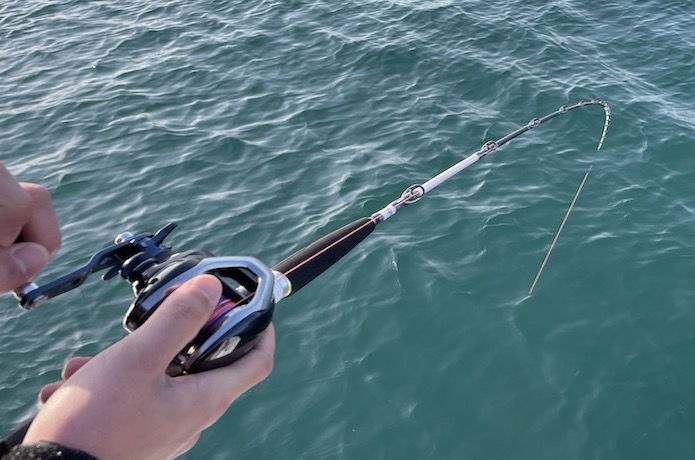 インプレ】万能船竿！「シマノ ライトゲーム リミテッド モデラート