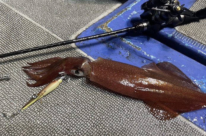 軽量高感度！シマノ セフィアエクスチューン メタルスッテ B66M-S/Fを