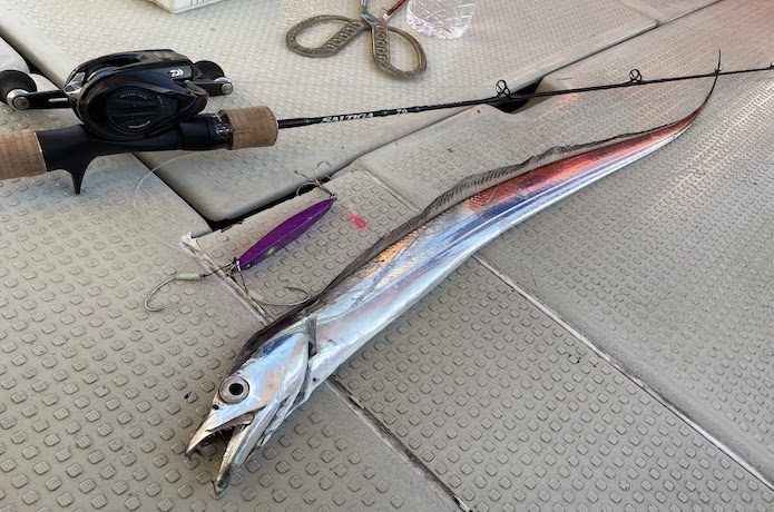 タチウオジギング入門】釣り方のキホンとタックル一式(ロッド・リール