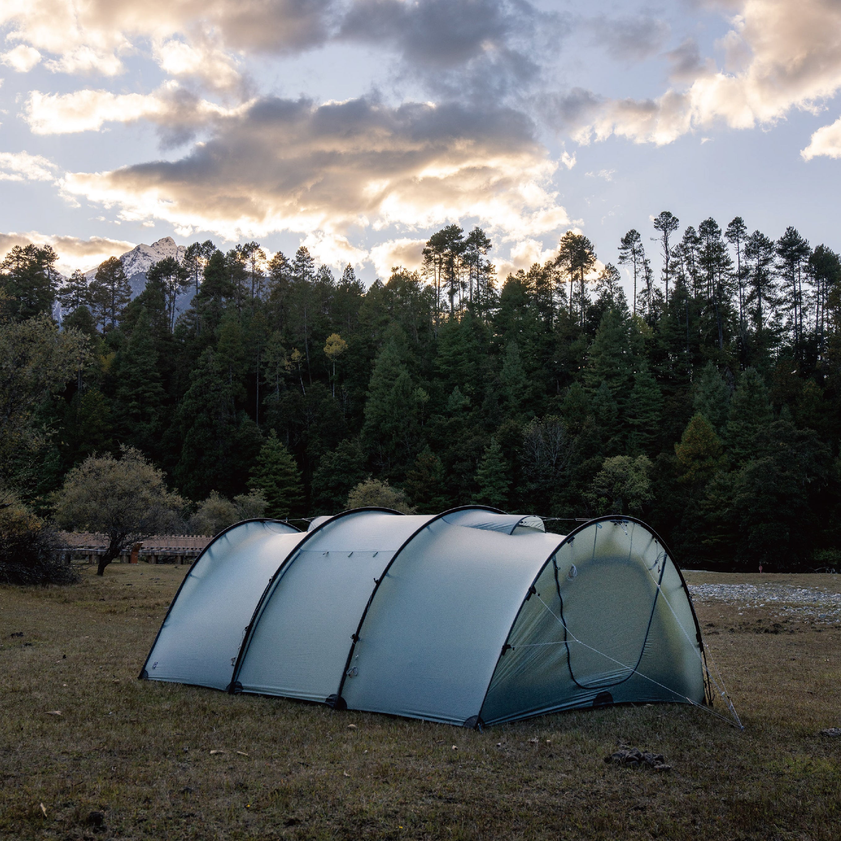 Watchtower – THE FREE SPIRITS