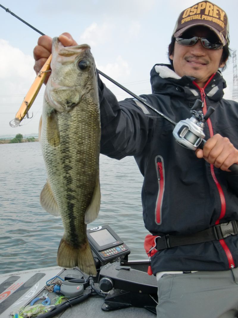 並木敏成オフィシャルサイト『THIS IS T.namiki』ここんとこのオレの一週間