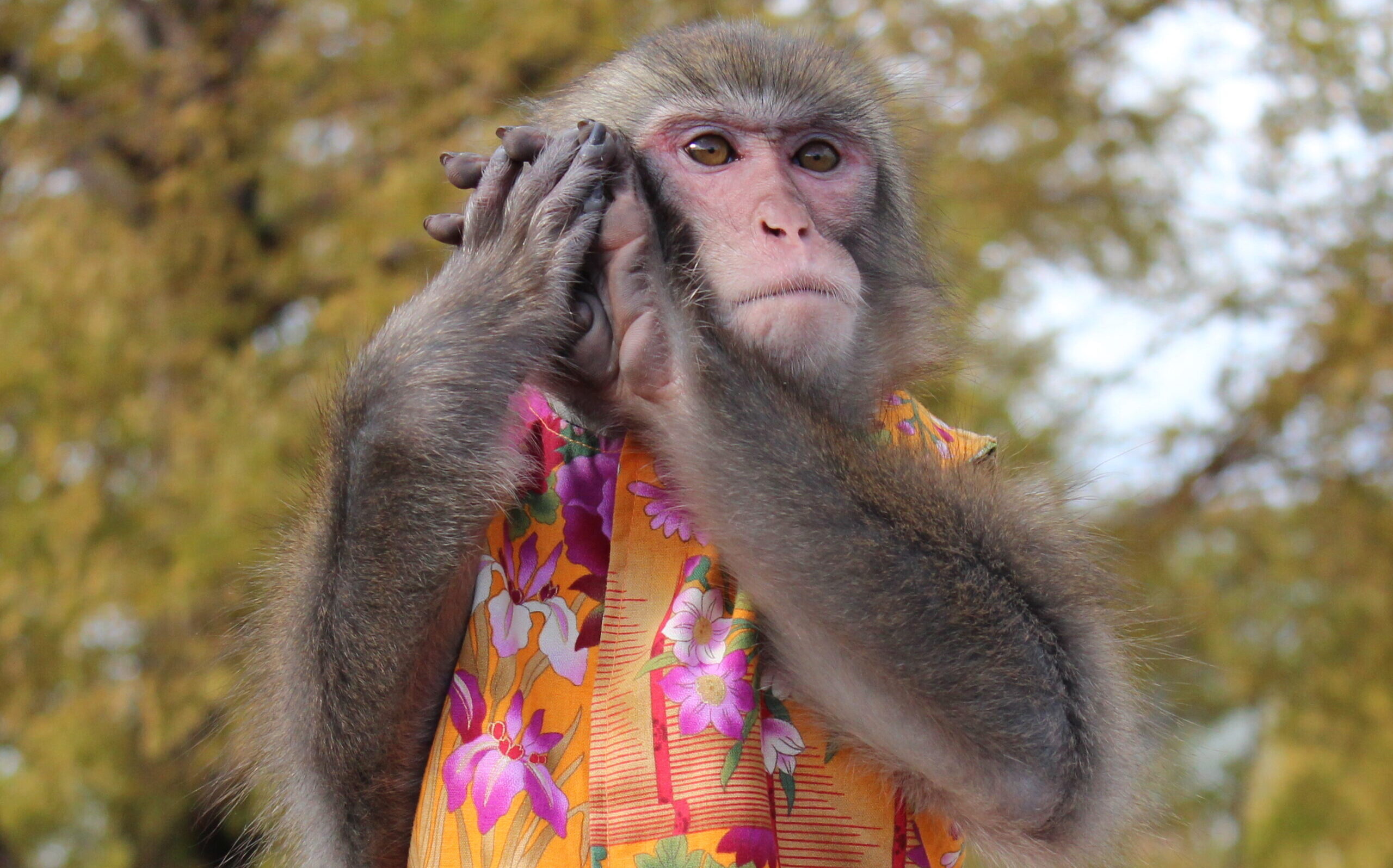 787c42667b1b4f7f2b8b1211dd9475