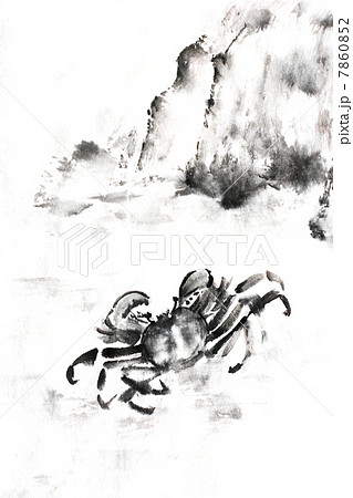 蟹のイラスト素材 [7860852] - PIXTA