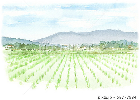 田園風景 水田 水彩画のイラスト素材 [58777934] - PIXTA