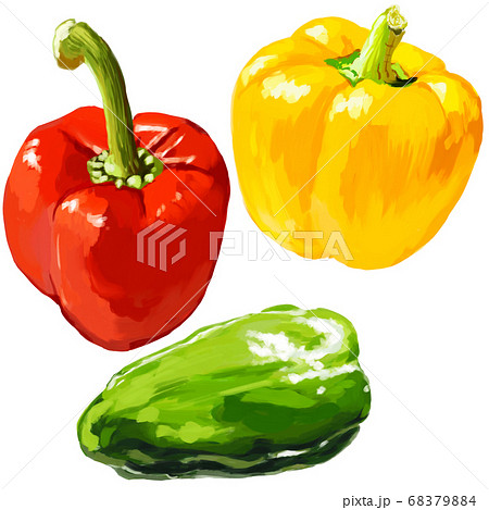 水彩厚塗り・丸ごと赤黄色パプリカとピーマンのイラスト素材 [68379884