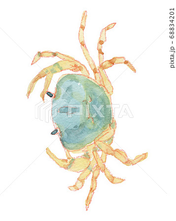 青いサワガニの水彩画のイラスト素材 [68834201] - PIXTA