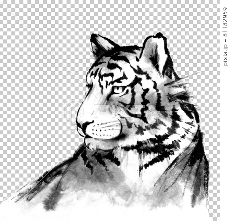 リアルな虎の頭部の水墨画のイラスト素材 [81182959] - PIXTA
