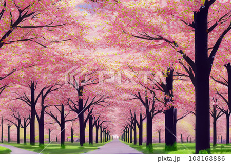 公園の中の1点透視の桜並木のイラストのイラスト素材 [108168886] - PIXTA