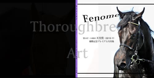 フェノーメノ第147回、149回天皇賞(春)優勝記念プレミアム写真集
