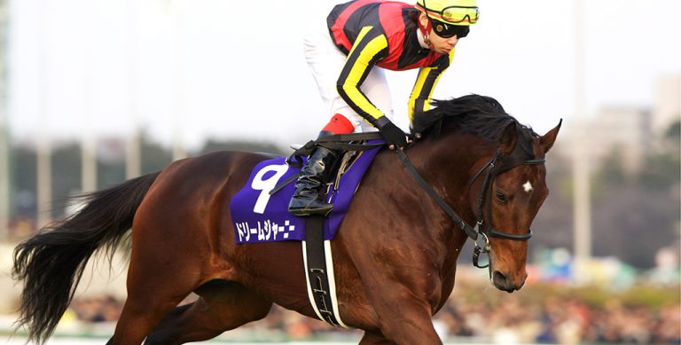 ドリームジャーニー2009有馬記念優勝記念プレミアム写真集