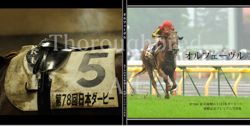 日本ダービー | サラブレッドライフ