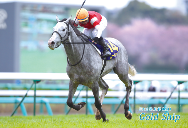 ゴールドシップ4○ポストカード7枚セット「レースver.3