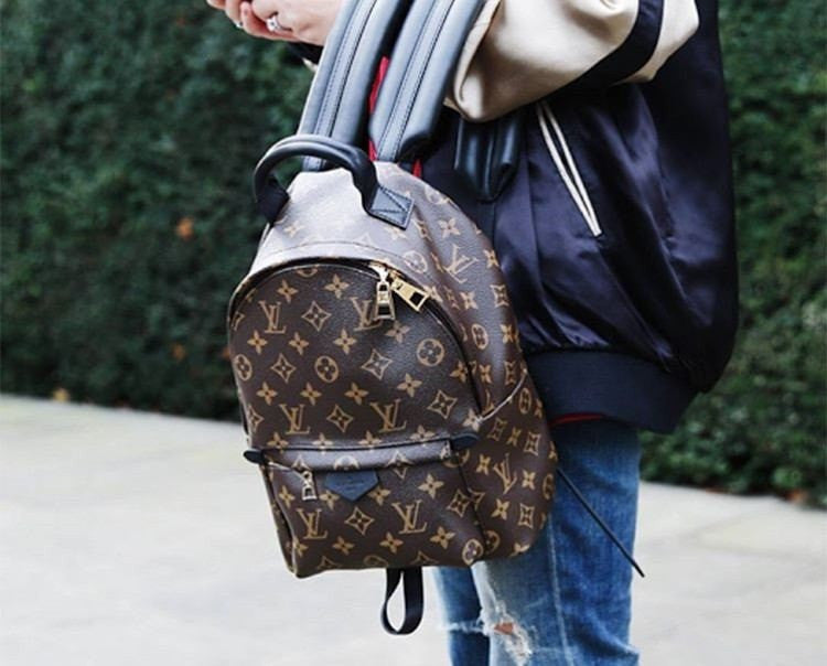 Louis Vuitton | Canvas Palm Springs Backpack | MM– TC
