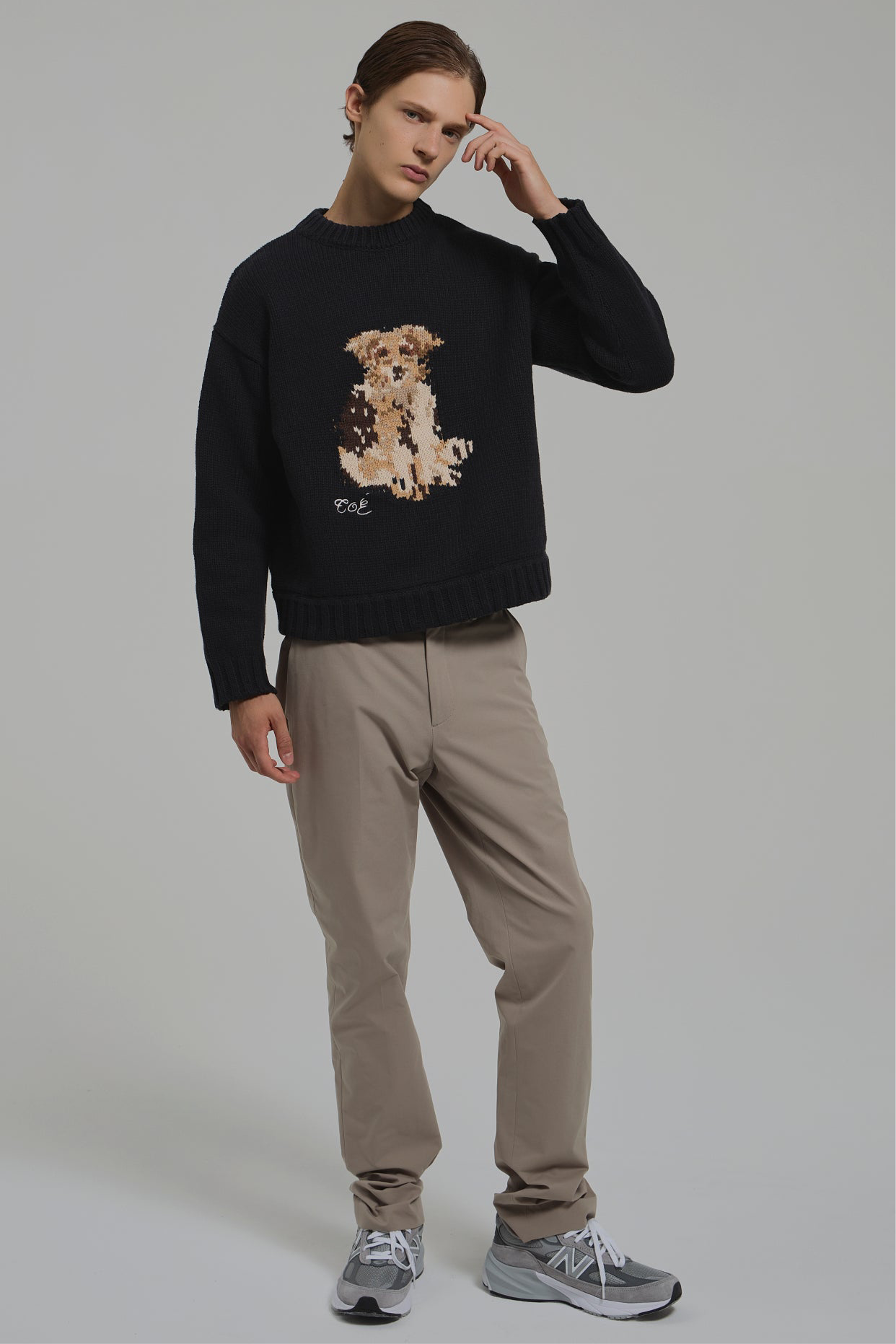 Schloss Dog Knit – THE TOÉ
