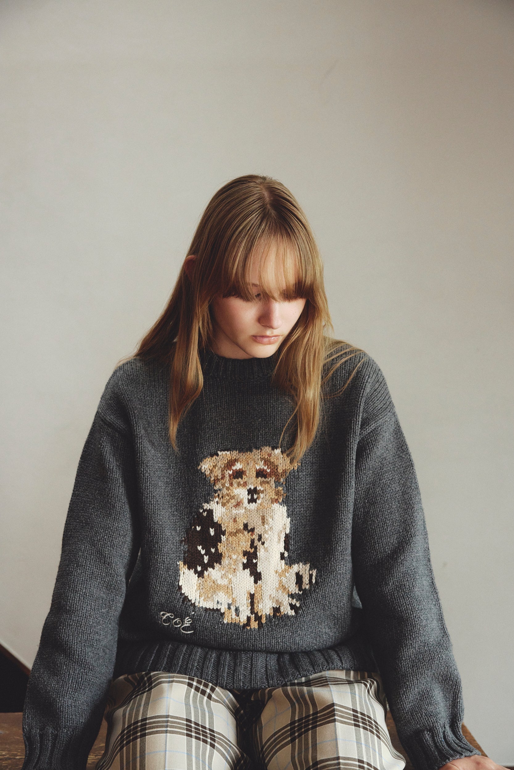 Schloss Dog Knit – THE TOÉ